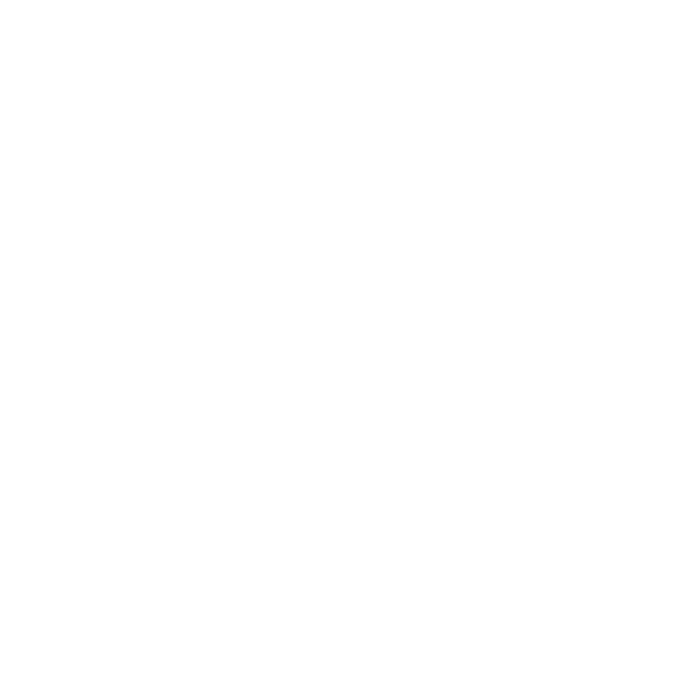 whatsapp-logo-blanc
